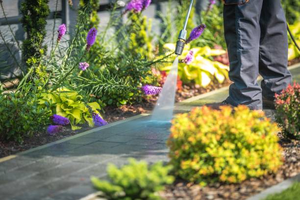Reliable Maili, HI Pressure Washing Services Solutions