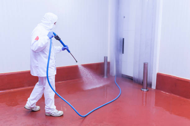 Best House Exterior Washing  in Maili, HI